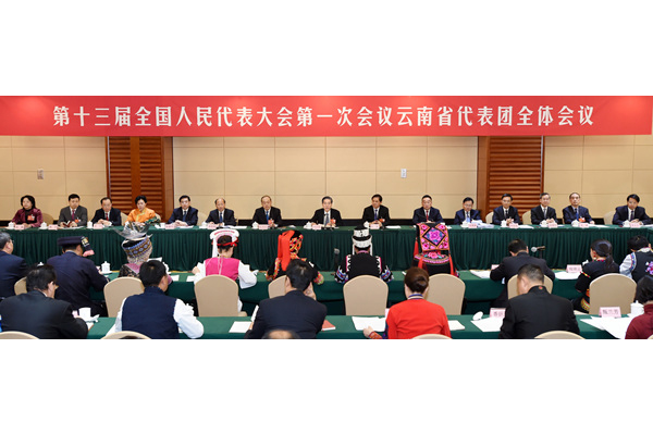 郭声琨参加云南代表团审议